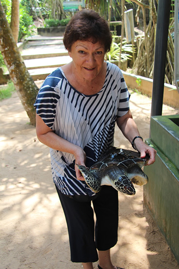 Releasing Turtles at Kosgoda